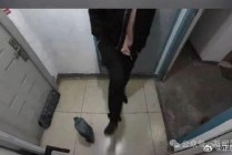 因为快递放不放门口，女子7天内遭快递员多次辱骂，还踹门跟踪