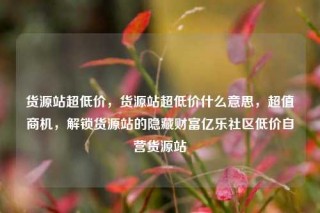 货源站超低价，货源站超低价什么意思，超值商机，解锁货源站的隐藏财富亿乐社区低价自营货源站