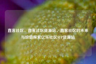 直客社区，直客社区货源站，直客社区的未来与价值探索亿乐社区SUP货源站