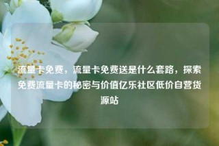 流量卡免费，流量卡免费送是什么套路，探索免费流量卡的秘密与价值亿乐社区低价自营货源站