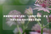 披星戴帽后迎来八连板！*ST亚振连亏4年，矿业大佬拟接盘1年内不调整主营业务