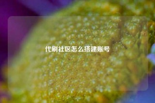 代刷社区怎么搭建账号