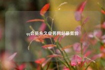 qq会员永久业务网站最低价