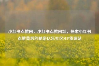 小红书点赞网，小红书点赞网址，探索小红书点赞背后的秘密亿乐社区SUP货源站