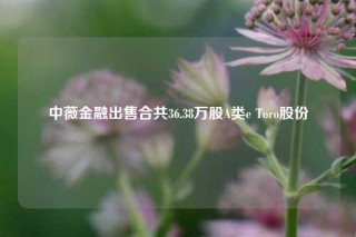 中薇金融出售合共36.38万股A类e Toro股份