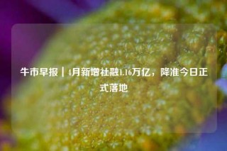 牛市早报｜4月新增社融1.16万亿，降准今日正式落地