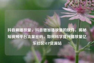 抖音刷播放量，抖音增加播放量的软件，揭秘短视频平台流量密码，如何科学提升播放量亿乐社区SUP货源站