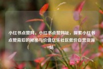 小红书点赞网，小红书点赞网址，探索小红书点赞背后的秘密与价值亿乐社区低价自营货源站