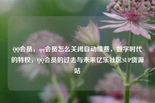 QQ会员，qq会员怎么关闭自动续费，数字时代的特权，QQ会员的过去与未来亿乐社区SUP货源站