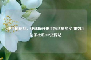 快手刷粉丝，快速提升快手粉丝量的实用技巧亿乐社区SUP货源站