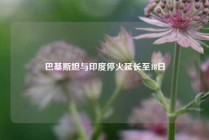 巴基斯坦与印度停火延长至18日
