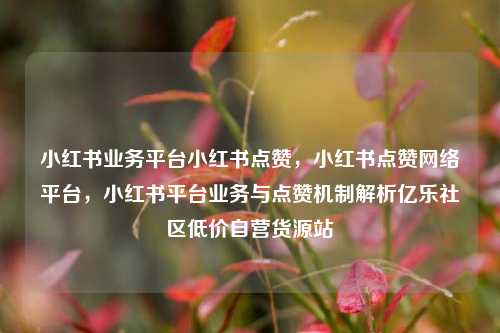 小红书业务平台小红书点赞	，小红书点赞网络平台，小红书平台业务与点赞机制解析亿乐社区低价自营货源站  第1张