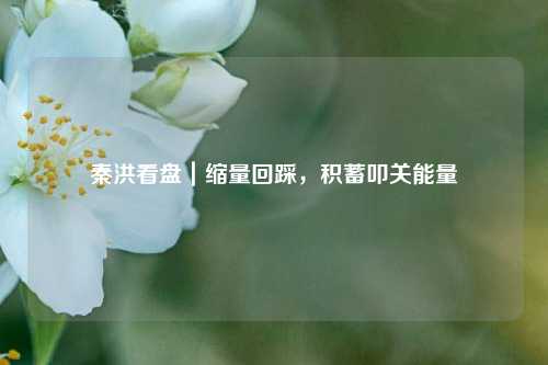 秦洪看盘｜缩量回踩	，积蓄叩关能量  第1张