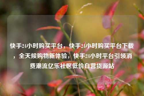 快手24小时购买平台，快手24小时购买平台下载	，全天候购物新体验，快手24小时平台引领消费潮流亿乐社区低价自营货源站  第1张