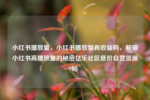 小红书播放量，小红书播放量有收益吗，解锁小红书高播放量的秘密亿乐社区低价自营货源站  第1张