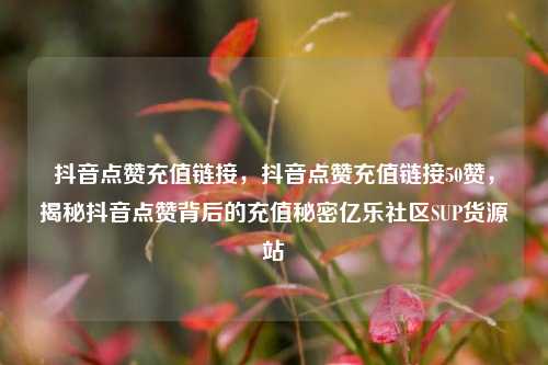 抖音点赞充值链接，抖音点赞充值链接50赞，揭秘抖音点赞背后的充值秘密亿乐社区SUP货源站  第1张