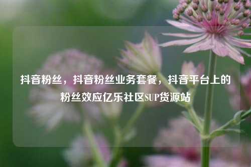 抖音粉丝	，抖音粉丝业务套餐，抖音平台上的粉丝效应亿乐社区SUP货源站  第1张