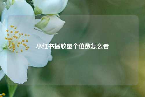 小红书播放量个位数怎么看  第1张
