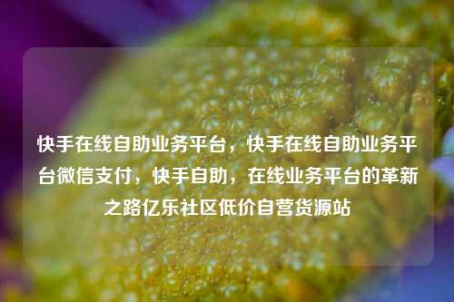 快手在线自助业务平台，快手在线自助业务平台微信支付	，快手自助，在线业务平台的革新之路亿乐社区低价自营货源站  第1张