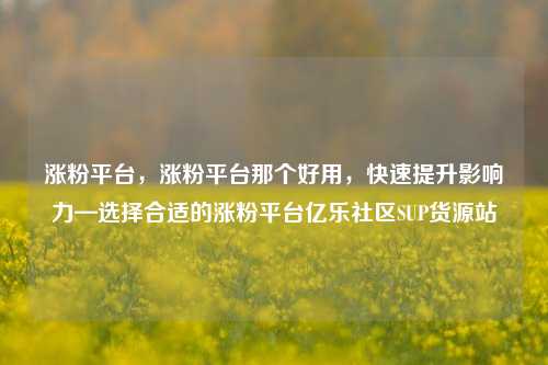 涨粉平台	，涨粉平台那个好用，快速提升影响力—选择合适的涨粉平台亿乐社区SUP货源站  第1张