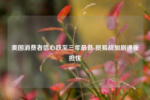 美国消费者信心跌至三年最低 贸易战加剧通胀担忧  第1张