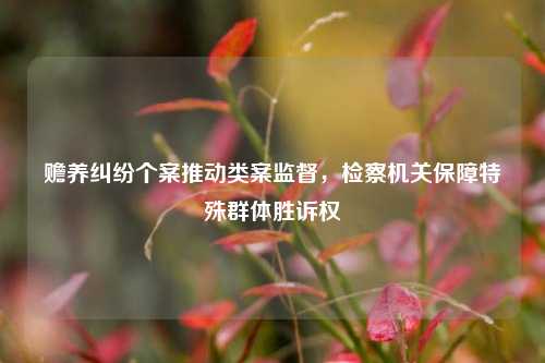 赡养纠纷个案推动类案监督，检察机关保障特殊群体胜诉权  第1张