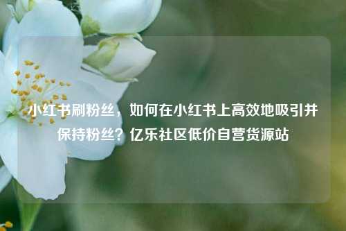 小红书刷粉丝，如何在小红书上高效地吸引并保持粉丝？亿乐社区低价自营货源站  第1张