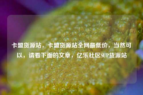 卡盟货源站，卡盟货源站全网最低价	，当然可以，请看下面的文章，亿乐社区SUP货源站  第1张