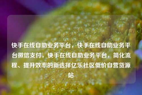 快手在线自助业务平台，快手在线自助业务平台微信支付，快手在线自助业务平台	，简化流程	、提升效率的新选择亿乐社区低价自营货源站  第1张