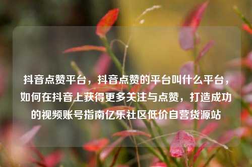 抖音点赞平台，抖音点赞的平台叫什么平台，如何在抖音上获得更多关注与点赞	，打造成功的视频账号指南亿乐社区低价自营货源站  第1张