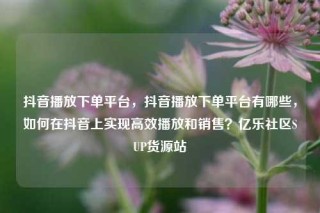 抖音播放下单平台，抖音播放下单平台有哪些，如何在抖音上实现高效播放和销售？亿乐社区SUP货源站