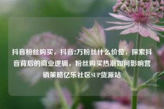 抖音粉丝购买，抖音2万粉丝什么价位，探索抖音背后的商业逻辑，粉丝购买热潮如何影响营销策略亿乐社区SUP货源站