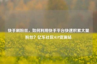 快手刷粉丝，如何利用快手平台快速积累大量粉丝？亿乐社区SUP货源站