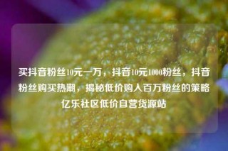 买抖音粉丝10元一万，抖音10元1000粉丝，抖音粉丝购买热潮，揭秘低价购入百万粉丝的策略亿乐社区低价自营货源站
