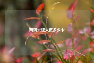 两碗米饭大概多少卡