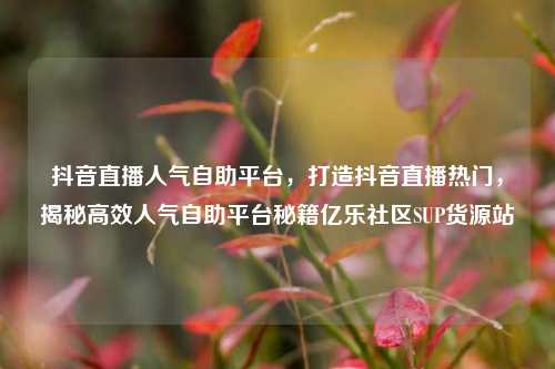 抖音直播人气自助平台，打造抖音直播热门，揭秘高效人气自助平台秘籍亿乐社区SUP货源站  第1张