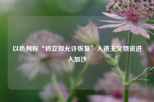 以色列称“将立即允许恢复	”人道主义物资进入加沙  第1张