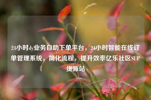 24小时dy业务自助下单平台，24小时智能在线订单管理系统	，简化流程，提升效率亿乐社区SUP货源站  第1张