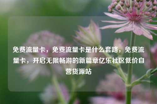 免费流量卡	，免费流量卡是什么套路，免费流量卡，开启无限畅游的新篇章亿乐社区低价自营货源站  第1张
