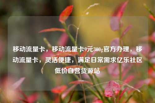 移动流量卡，移动流量卡9元300g官方办理，移动流量卡	，灵活便捷，满足日常需求亿乐社区低价自营货源站  第1张