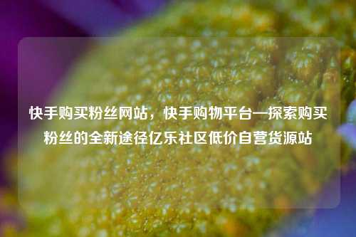 快手购买粉丝网站	，快手购物平台—探索购买粉丝的全新途径亿乐社区低价自营货源站  第1张