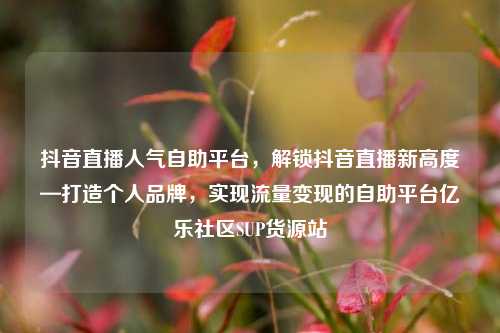 抖音直播人气自助平台	，解锁抖音直播新高度—打造个人品牌，实现流量变现的自助平台亿乐社区SUP货源站  第1张