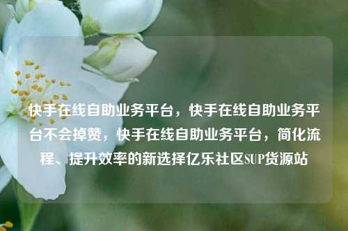 快手在线自助业务平台，快手在线自助业务平台不会掉赞	，快手在线自助业务平台，简化流程	、提升效率的新选择亿乐社区SUP货源站  第1张